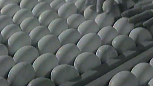 Kozorožci na Moravě a líhnutí kachňat (1956)