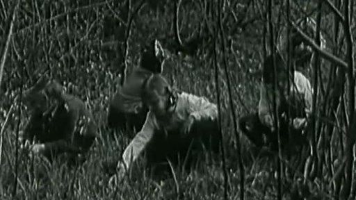 Děti v horské přírodě (1954)