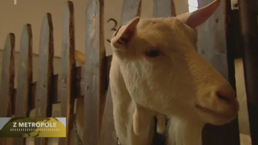 Pozvánky na víkend