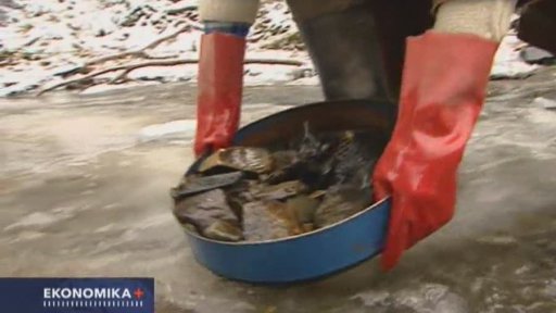 Trendy: Peníze ztrácí kredit, Češi věří zlatu