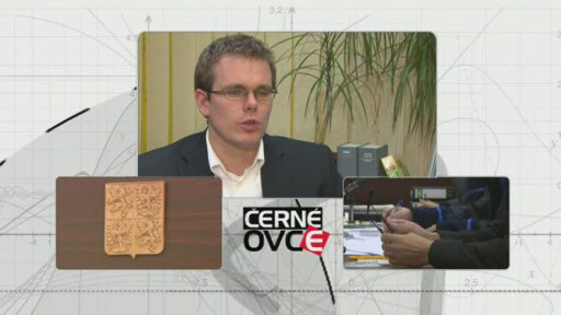 Trestní odpovědnost