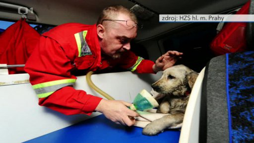 Veterinární záchranka