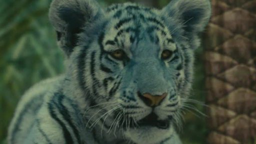 Tryskomyš a Tryskomyšák pořádají protikočičí demonstraci. Klára je chlácholí.