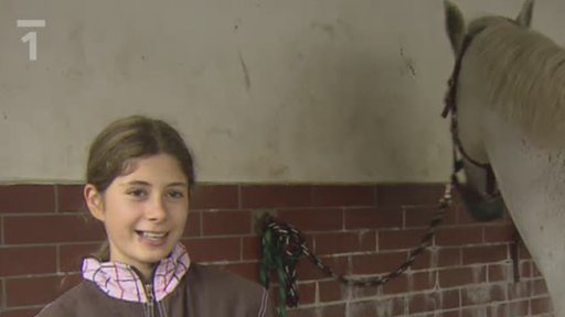 Vrabčák Lojza: „Prázdninová koňská farma“