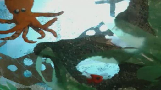 Animovaný film Moře