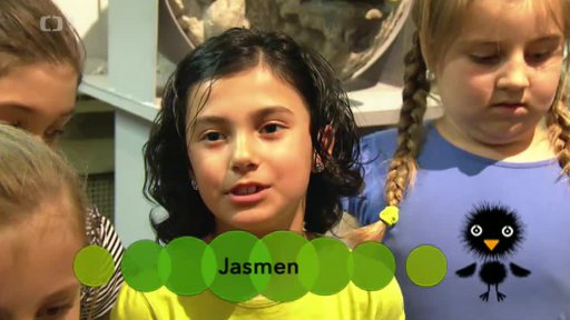 Vrabčák Lojza č.14 – Život v pevnosti