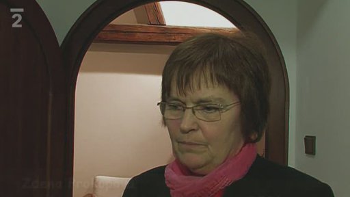 Benefiční koncert Iva Jahelky