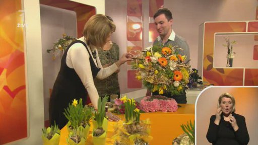 Květiny - cibuloviny - Jaromír Kokeš - 2.část