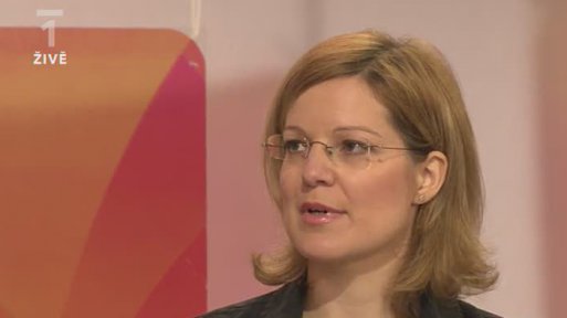 Postavení matky ve společnosti - výzkum - Mgr. Jitka Nesnídalová (1. část)