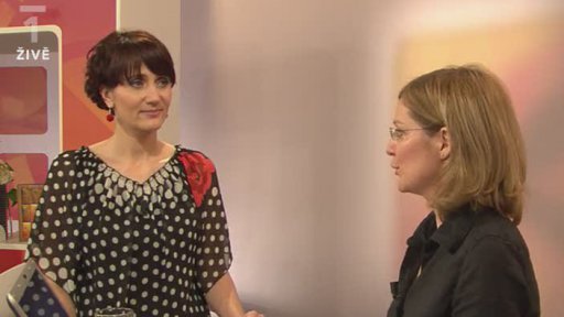 Postavení matky ve společnosti - výzkum - Mgr. Jitka Nesnídalová (3. část)