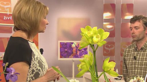 Orchideje - Eduard Chvosta