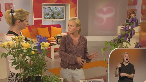 Zahrádka během dovolené - Zuzana Pencová