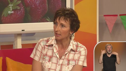 První letní pomoc - Mgr. Martina Eliášová (2. část)