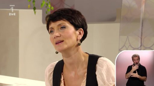 ČT - Zdivočelá země - David Suchařípa