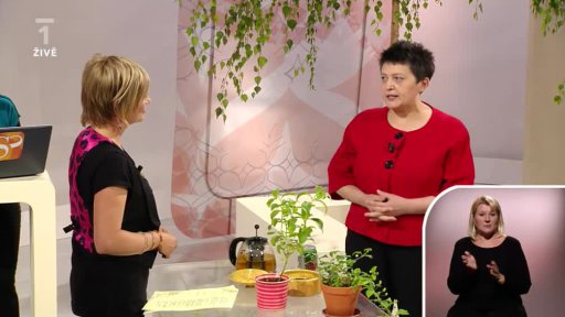 Alternativa - bylinky na hubnutí - MUDr. Džamila Stehlíková