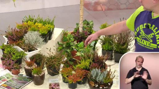 Vřesy, druhy a využití k dekoraci - Ing. Dr. Petr Franc