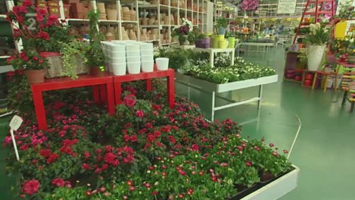 Jak na zahradu přivolat jaro