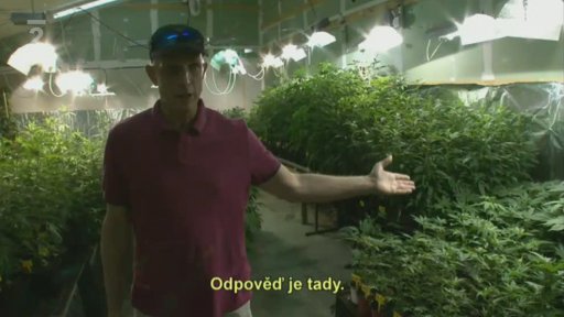 Dokument Rok konopí