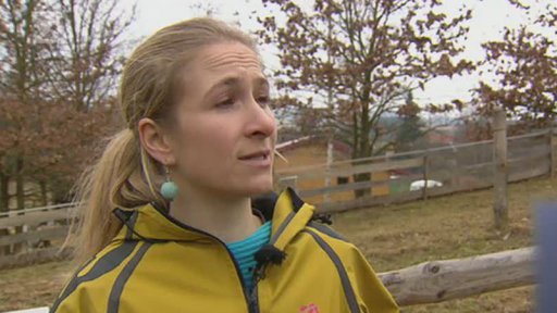 Novinky ze Zajíčka na koni