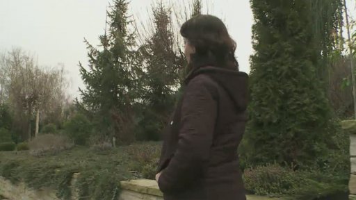 Vyvýšené záhony – originální prvek zahrady