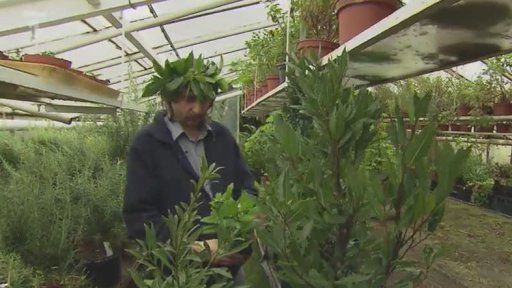 Magický bobkový list