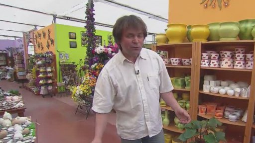 Vitamíny pro rostliny