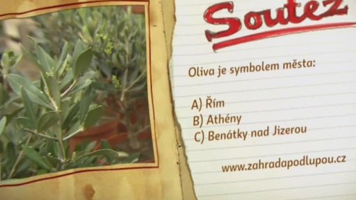 Soutěž