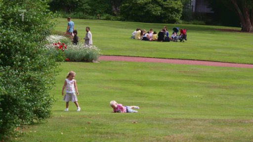 Anglický trávník je fenomén