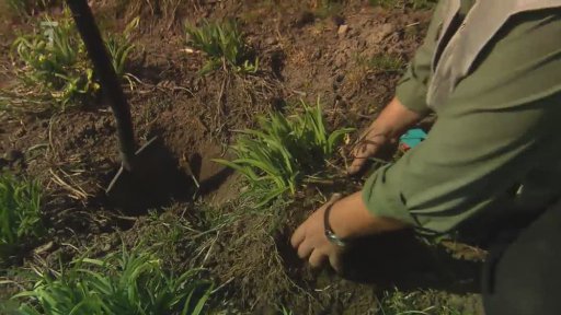 Duben je měsíc množení