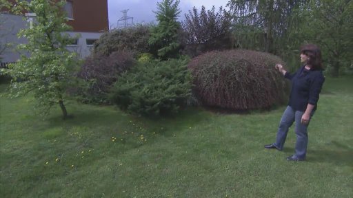 Co takhle pořídit si kopec