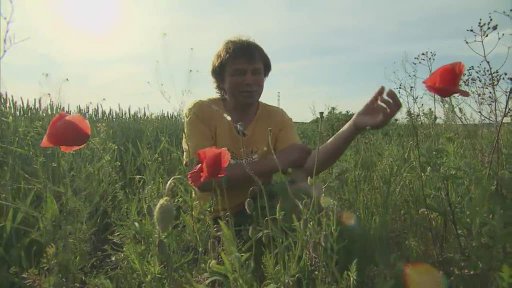 Pohádka O makové panence