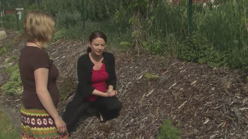 Nekonečný příběh Jolany Voldánové