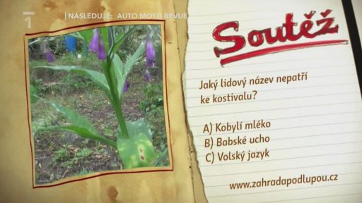 Soutěž
