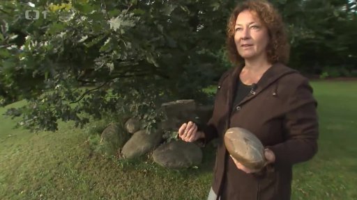 Kámen zvaný placák