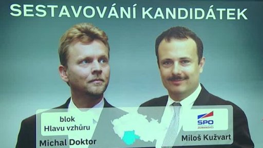 Lídři menších stran