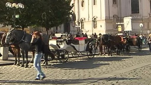 Pokuty za koňské maso v hovězím