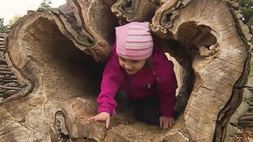 Příroda v mateřských školách