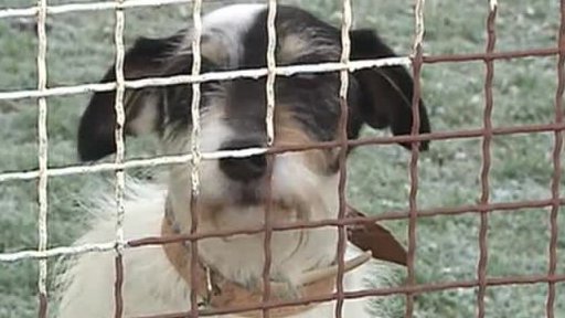 Na co si dát pozor při oslavách