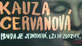 Kauza Cervanová ve filmu