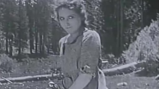 Mary Pickfordová znovu na plátně