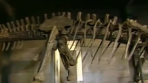 Vydražený dinosaurus