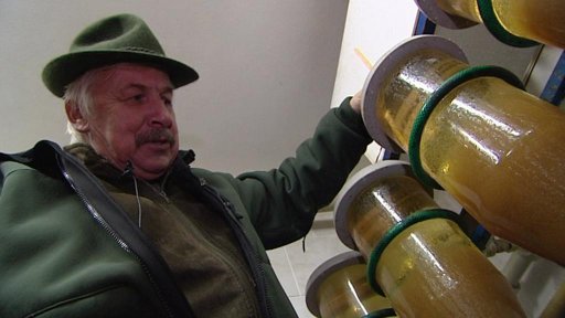 Na Šumavě začalo vytírání mníka