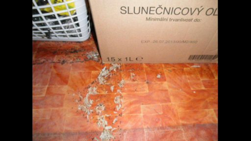 Myší trus v obchodě na Šumpersku