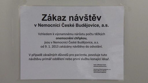 Na jihu Čech zemřeli další dva lidé na chřipku spojenou s dalšími zdravotními komplikacemi