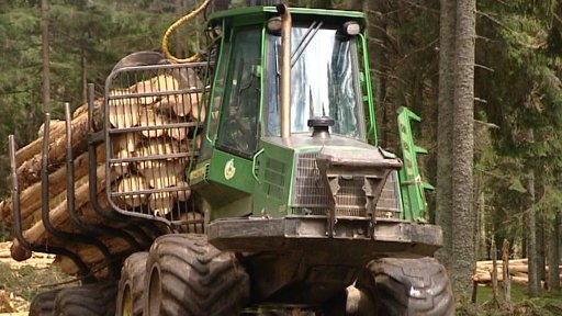 Zdražení šumavského dřeva