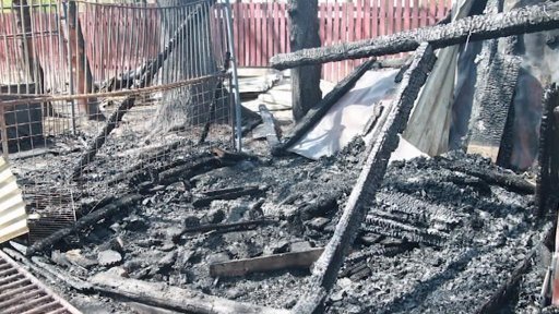 Tragédii kynologů v Chomutově střídá solidarita