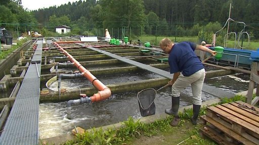 Ministerstvo zemědělství odhaduje škody po povodních minimálně na tři a půl miliardy