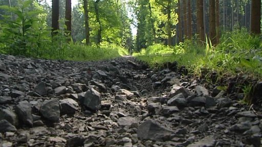 Povodně napáchaly milionové škody v lesích