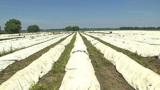 Povodně poškodily úrodu i pole ve středních Čechách