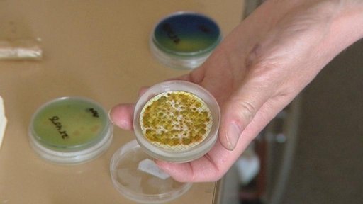 Některá přírodní koupaliště znečišťuje voda ze záplav